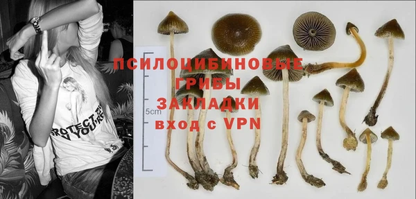 дживик Арсеньев
