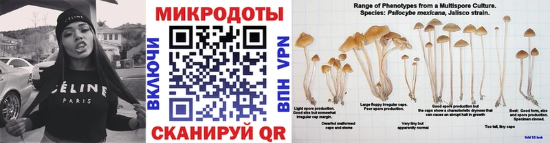 это Telegram  Спас-Клепики  Псилоцибиновые грибы Magic Shrooms  магазин продажи наркотиков 